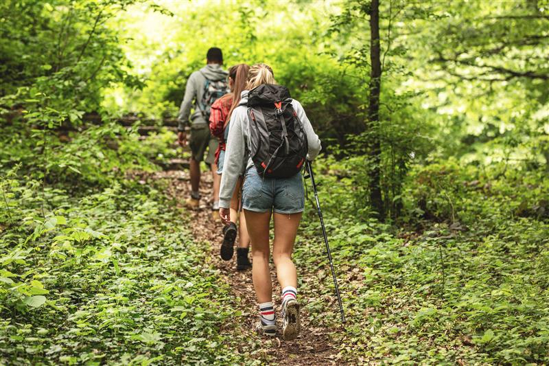 trekking